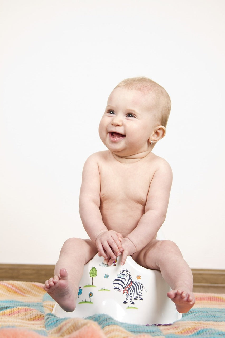 How to Choose Baby Potty Training Toilets?