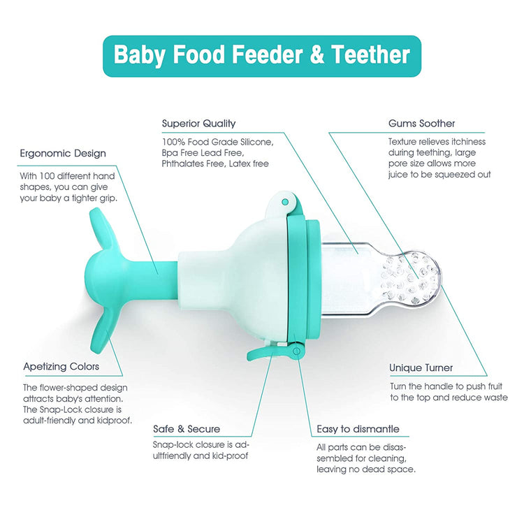 Baby Fruit Food Feeder Pacifier